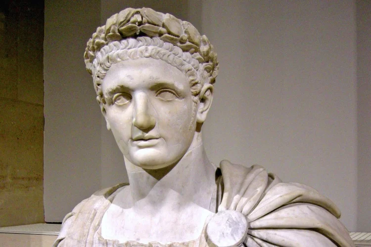 Domitian: The Last of the Flavian Emperors and His Reign of Terror image